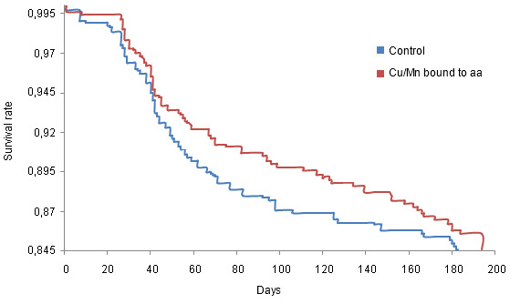 Survival rate of the sows after their first farrowing according to their diet