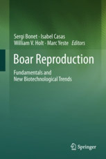 Boar Reproduction. Fundamentals and New Biotechnological Trends