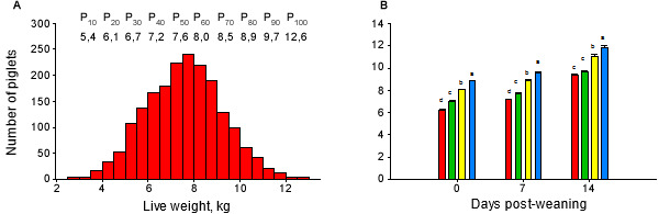 Distribution of the LW of the piglets at the end of the lactation period during 6 consecutive weaning batches (A), and initial classification and evolution of the LW along the pre-starter stage (B).