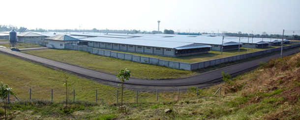 betagro