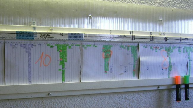 Hang the tasks planning chart on the farm.