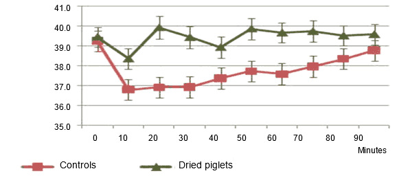 Evolution of the temperature in piglets dried or not after their birth