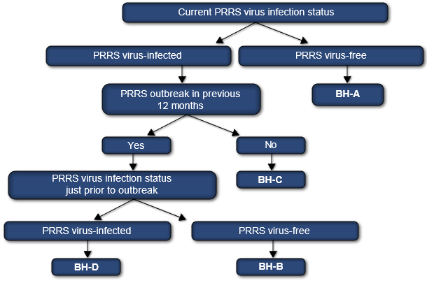 PRRS virus classification system for swine sow herds