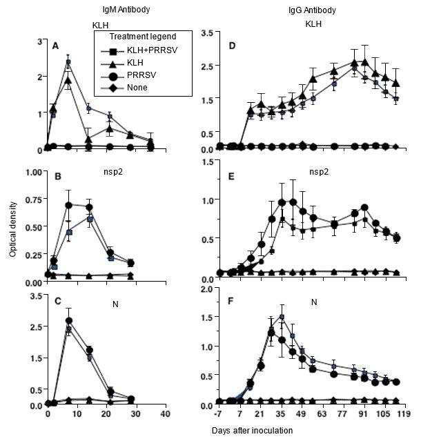 Antibody response kinetics to type 2 PRRSV infection