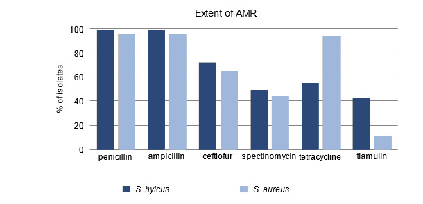 Percent of isolates resistant to antimicrobials