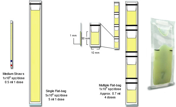 Schematic representation of the major differences between plastic 0.25 ml mini-straws, with single (5 ml) and multiple Flat-bags