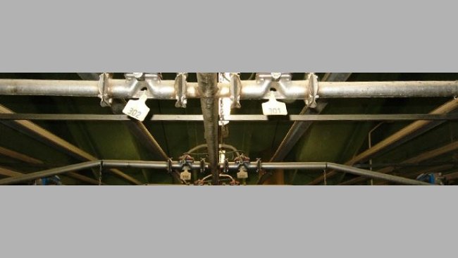 Numbering of liquid feed valves with sows' ear tags