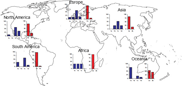 Geographic prevalences of different TTSuV strains