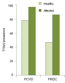 TTSuV prevalence