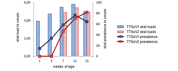 Viral loads and prevalence