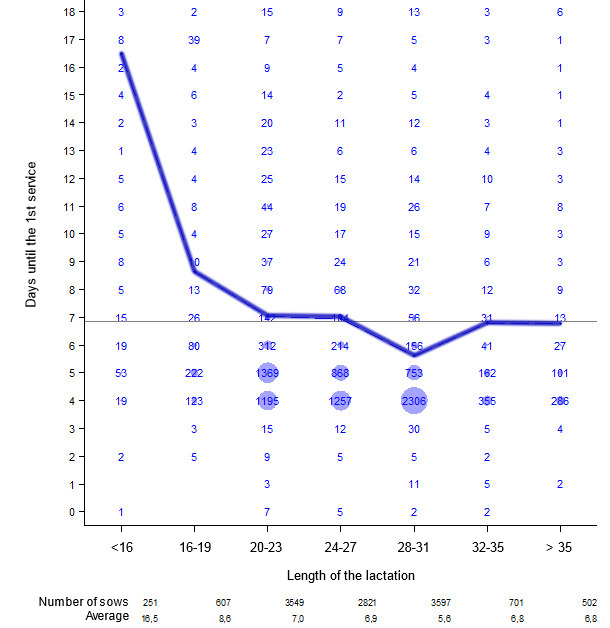 Length of the lactation