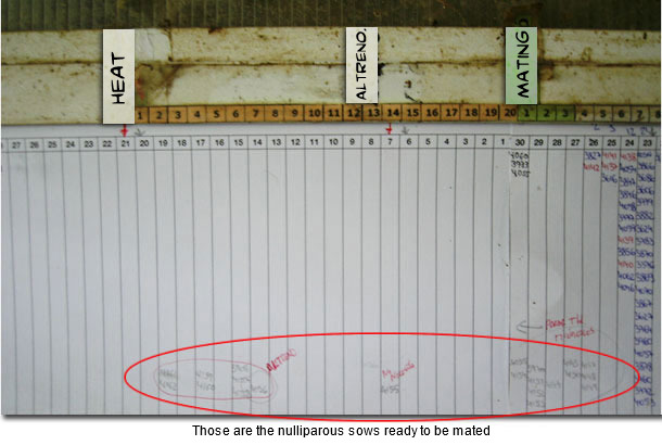 Planning chart