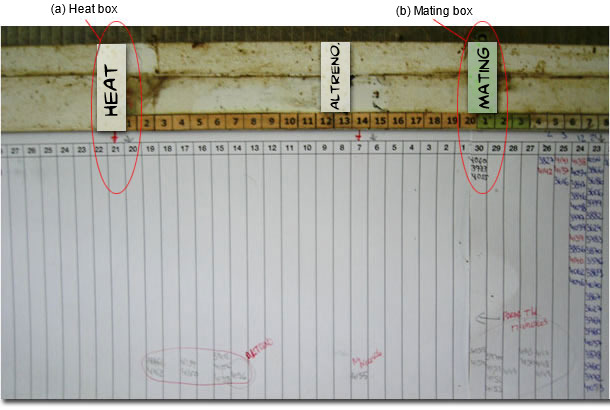 Planning chart