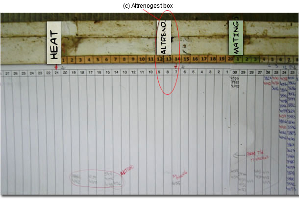 Planning chart