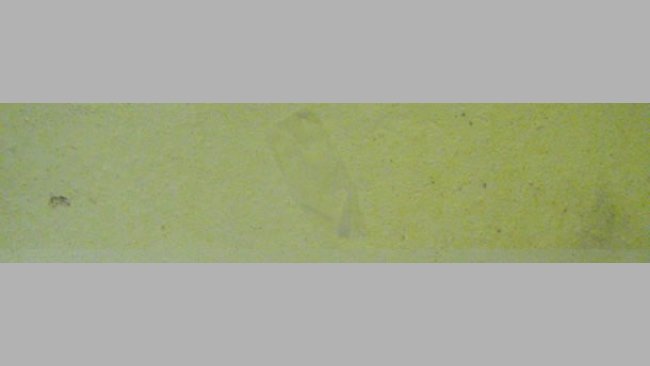 The piece of cigarette paper stuck to the wall shows an incomplete drying of the room