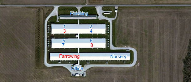 6000 sow farm in Indiana (part of a 15,000 sow system) with internal multiplication