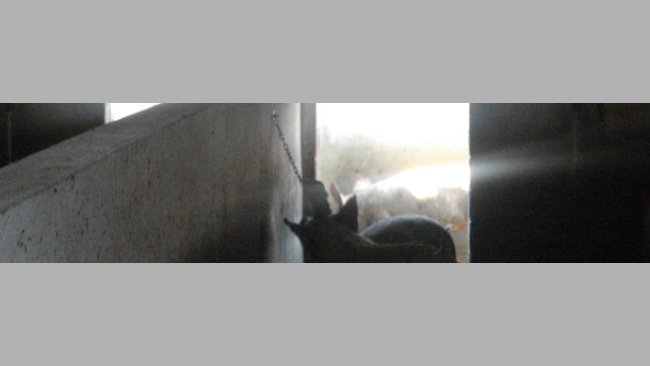 Manipulable materials