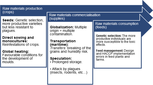 Main predisposing factors for contamination with mycotoxins