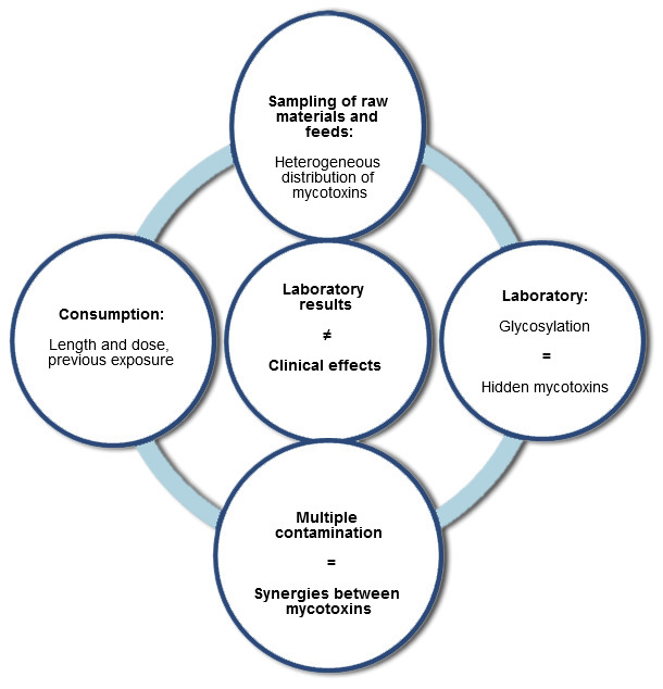 related to the variability of the clinical effects and the laboratory results