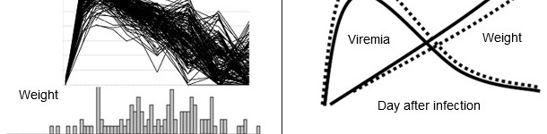 PRRSV disease phenotypes at the population level and The favorable effect of the beneficial marker in SSC4 on weight gain and viremia in young pigs