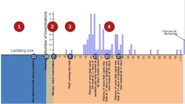 Analysis of the returns-to-oestrus during the troublesome period