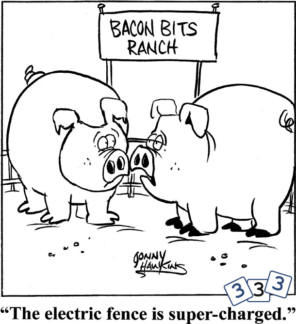 Bacon Bits Ranch
