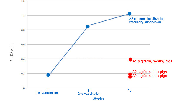 Graphical representation of average ELISA results for individual groups of animals