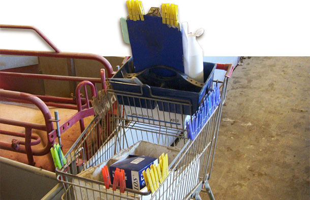 The clothes pegs used are carried in a trolley together with part of the daily materials needed