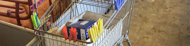 The clothes pegs used are carried in a trolley together with part of the daily materials needed