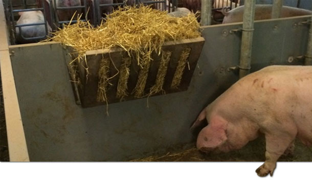 Use of feeders with straw.