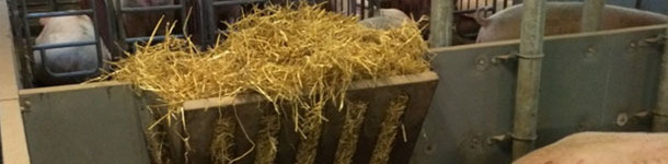 Use of feeders with straw.