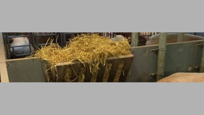 Use of feeders with straw.