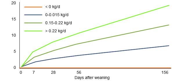 Influence of the weight gain during the first week after the weaning in the subsequent production results