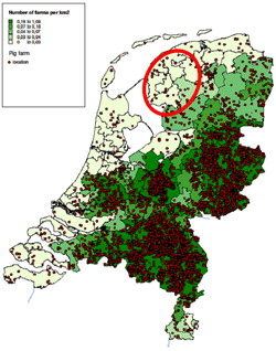 Distribution of pig farms in the Netherlands