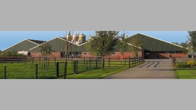 Dutch farm