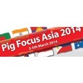 pig-focus.gif