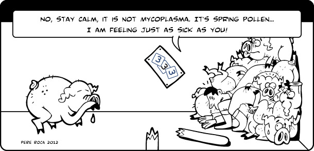 It's not Mycoplasma