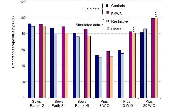 Comparison of outputs (PCV-2 seroprevalence) from the simulation model with field data