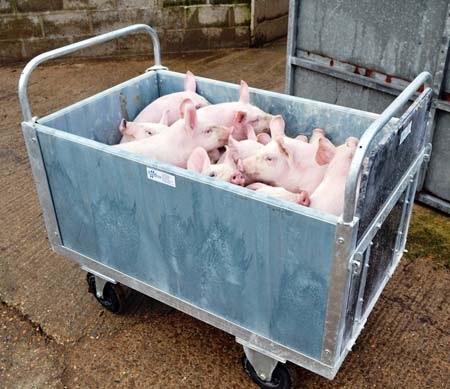 new weaner trolley