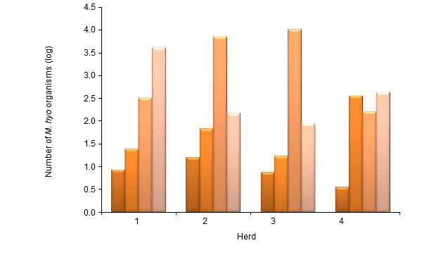 Number of M. hyopneumoniae organisms (mean log number of organisms per ml) tested by nPCR in bronchoalveolar lavage (BAL) fluid in pigs of 6, 10 and 14 weeks and at slaughter age in 4 different herds