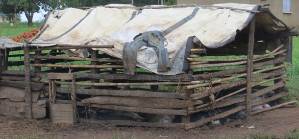 Example of poor housing in Uganda