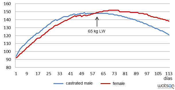 Protein deposition (g/day) of castrated males and females of the genetic strain B