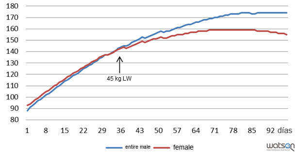 Protein deposition (g/day) of entire males and females of the genetic strain A