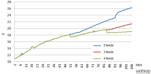 Standardized ileal lysine intake along the growing-fattening stages with different feeding programmes (2 feeds, 3 feeds, 4 feeds)