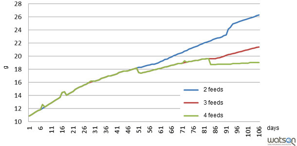 Pig Feed Conversion Chart