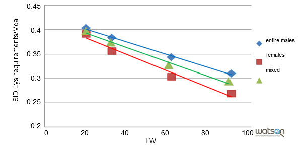 Standardized ileal lysine requirements per Mcal for the genetic strain A