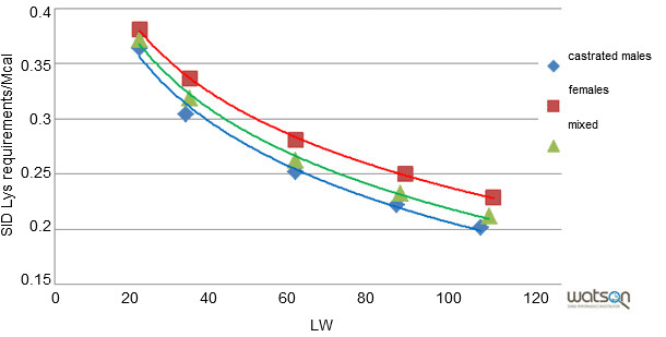 Standardized ileal lysine requirements per Mcal for the genetic strain B