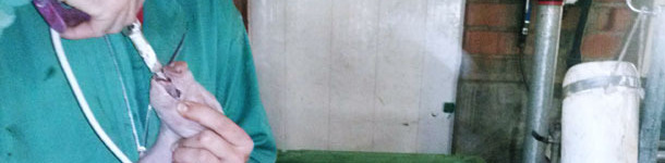 The dispenser is fitted on the bottle through a quite long pipe, and this facilitates the administering of the product from any place around the cart.