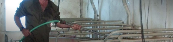 If we have a hose in each farrowing room, the supplementation with water several times a day is an easy process