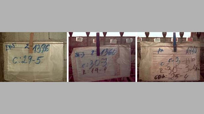 Notes on the card wrapped in a plastic bag